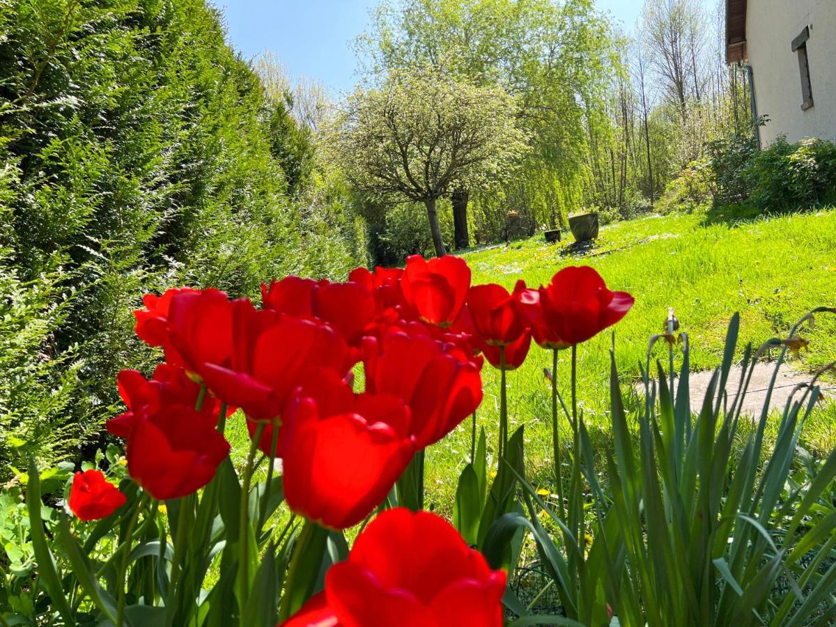 Gite De Vacances Jardin Monet Giverny Vernon Sainte-Genevieve-les-Gasny Exterior photo